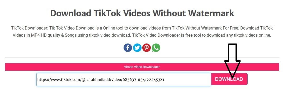 Tiktok Video Downloader Without Watermark It Support