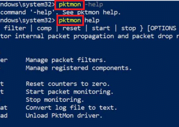 pktmon windows