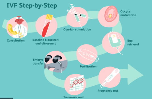 IVF Costing in India