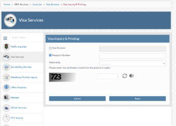 m o i qatar visa checking